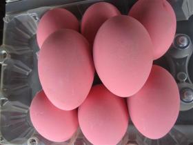 ไข่เยี่ยวม้า