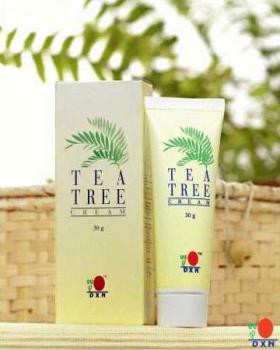 ขาย Tea Tree Cream (ทีทรีครีม)