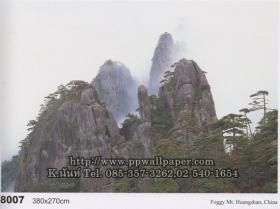 ขาย PPWALL วิวธรรมชาติ 065