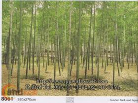 ขาย PPWALL วิวธรรมชาติ 078