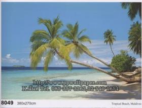 ขาย PPWALL วิวธรรมชาติ 061