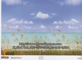 ขาย PPWALL วิวธรรมชาติ 098