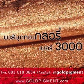 ขาย ผงมุกบรอนซ์ 3000 กลอรี่