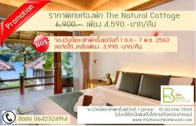 The Beach Natural Resort เกาะกูด ตราด : ราคาพิเศษห้องพัก The Natural Cottage