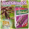 ขาย ข้าวไรซ์เบอร์รี่ Riceberry เกรดAAA ข้าวเพื่อสุขภาพ -