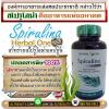 สาหร่ายสไปรูไลน่า Herbal One ฟื้นฟูร่างกาย ล้างพิษ -