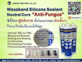 ซิลิโคนไร้กรดป้องกันเชื้อรา