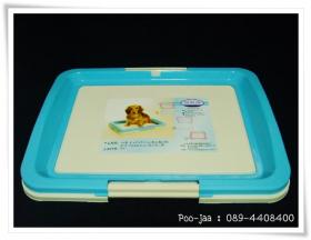 ห้องน้ำสุนัขไซส์ใหญ่
