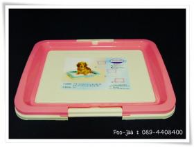 ห้องน้ำสุนัขไซส์ใหญ่