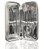Sonia Kashuk SHIMMER AND SHINE BRUSH SET