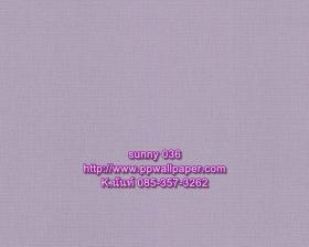 PPWALL-SUNNY036