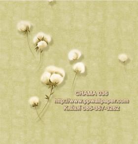 PPWALL-CHAMA036