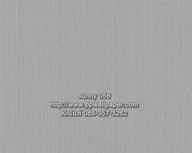 PPWALL-SUNNY058
