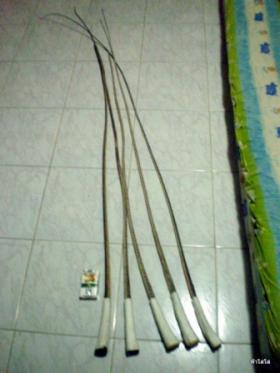 หางกระเบน