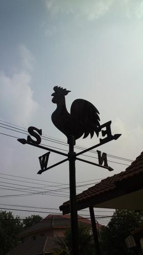 ไก่หมุนบอกทิศทางลมพ่นสีดำ