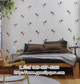 ขาย PPWALL AGALICO2 043