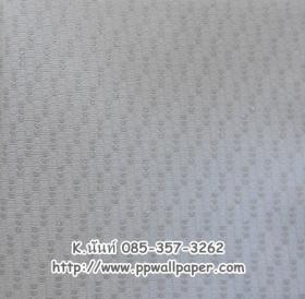 ขาย PPWALL AGALICO2 022