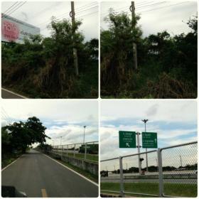 ขายที่ดิน ติดถนนคู่ขนาน Motorway