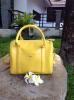 Iris Bag ทรงหมอน