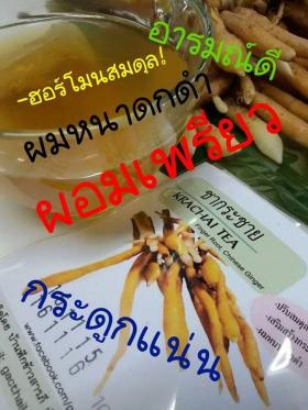 ชากระชาย100% เพิ่มมวลกระดูก,ผมหนาดกดำ,ปรับฮอร์โมน 086-9531114