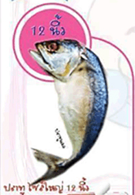 ปลาทูของเล่นแมวไซส์ใหญ่ 12 นิ้ว ราคา 250 บาท ลดเหลือ 190บาท