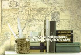 ขาย PPWALL OAK 012