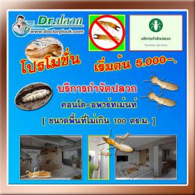 Dr.ปลวก บริการกำจัดปลวก (คอนโด-อพาร์ทเม้นท์) ขนาดพื้นที่ไม่เกิน 100 ตร.ม.