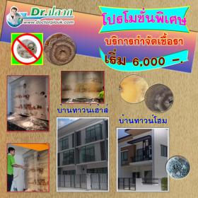 Dr.ปลวก บริการกำจัดเชื้อรา (บ้านทาวน์เฮ้าส์-บ้านทาวน์โฮม) ขนาดพื้นที่ไม่เกิน 100 ตร.ม.