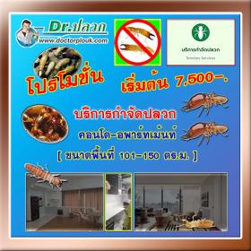 กำจัดปลวก คอนโด-อพาร์ทเม้นท์ (ขนาดพื้นที่ 101-150 ตร.ม.)