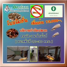 Dr.ปลวก บริการกำจัดปลวก (คอนโด-อพาร์ทเม้นท์) ขนาดพื้นที่ 251-300 ตร.ม.