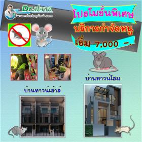 กำจัดหนู บ้านทาวน์เฮ้าส์-บ้านทาวน์โฮม (ขนาดพื้นที่ไม่เกิน 100 ตร.ม.)