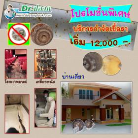 กำจัดเชื้อรา บ้านเดี่ยว (ขนาดพื้นที่ไม่เกิน 150 ตร.ม.)