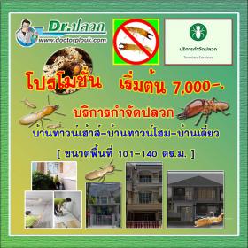 Dr.ปลวก บริการกำจัดปลวก (บ้านทาวน์เฮ้าส์-บ้านทาวน์โฮม-บ้านเดี่ยว) ขนาดพื้นที่ 101-140 ตร.ม.