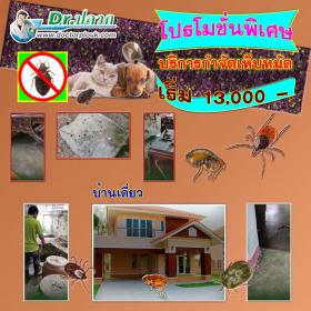 Dr.ปลวก บริการกำจัดเห็บหมัด (บ้านเดี่ยว) ขนาดพื้นที่ไม่เกิน 150 ตร.ม.