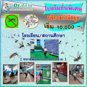 Dr.ปลวก บริการกำจัดยุง (โรงเรียน/สถานศึกษา) ขนาดพื้นที่ 100-200 ตร.ม.