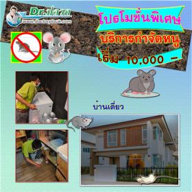 Dr.ปลวก บริการกำจัดหนุ (บ้านเดี่ยว) ขนาดพื้นที่ไม่เกิน 150 ตร.ม.