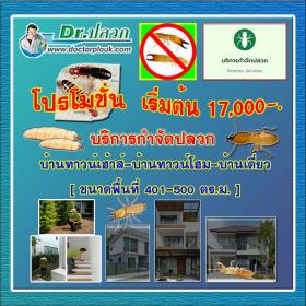 Dr.ปลวก บริการกำจัดปลวก (บ้านทาวน์เฮ้าส์-บ้านทาวน์โฮม-บ้านเดี่ยว) ขนาดพื้นที่ 401-500 ตร.ม.