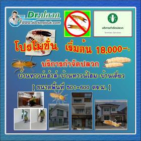 กำจัดปลวก บ้านทาวน์เฮ้าส์-บ้านทาวน์โฮม-บ้านเดี่ยว (ขนาดพื้นที่ 501-600 ตร.ม.)