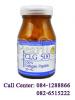 CLG500 -