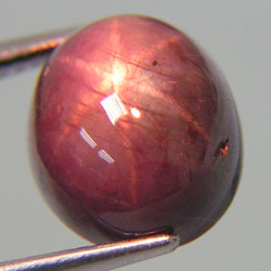 12.70ct NATURAL UNHEATED STAR RUBY ทับทิมสด สาแหรกหกขา ธรรมชาติ (ทับทิมสตาร์) ขาสวยชัด