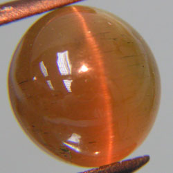 8.19ct NATURAL APATITE CAT'S EYE อะพาไทท์ ตาแมว ธรรมชาติ ตาสวยคมชัด จากศรีลังกา