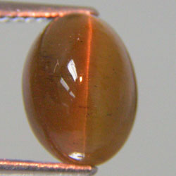 5.52ct NATURAL APATITE CAT'S EYE อะพาไทท์ ตาแมว ธรรมชาติ สีสวยตาคม