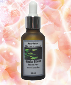สารสกัดใบแปะก๊วย  Ginkgo Biloba Extract