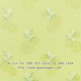 ขาย PPWALL STAR 008