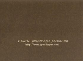 ขาย PPWALL NEDA 031