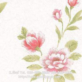 ขาย PPWALL SILK 037