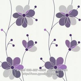 ขาย PPWALL LACANA 041