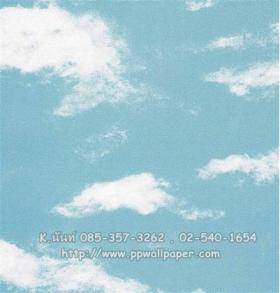 ขาย PPWALL Air 058