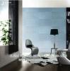 PPWALL STAR 033