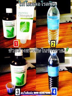 ขาย Phyto Chlorophyll สูตรเข้มข้น